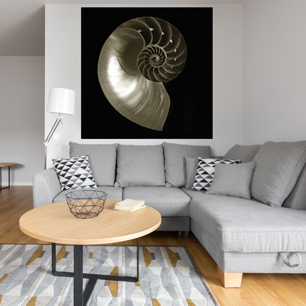 Nautilo sobre Negro - Ilona Wellmann