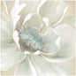 Flores de Invierno I - Carol Robinson