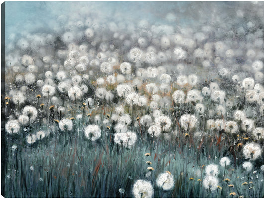 Campo de sueños - Sandy Doonan