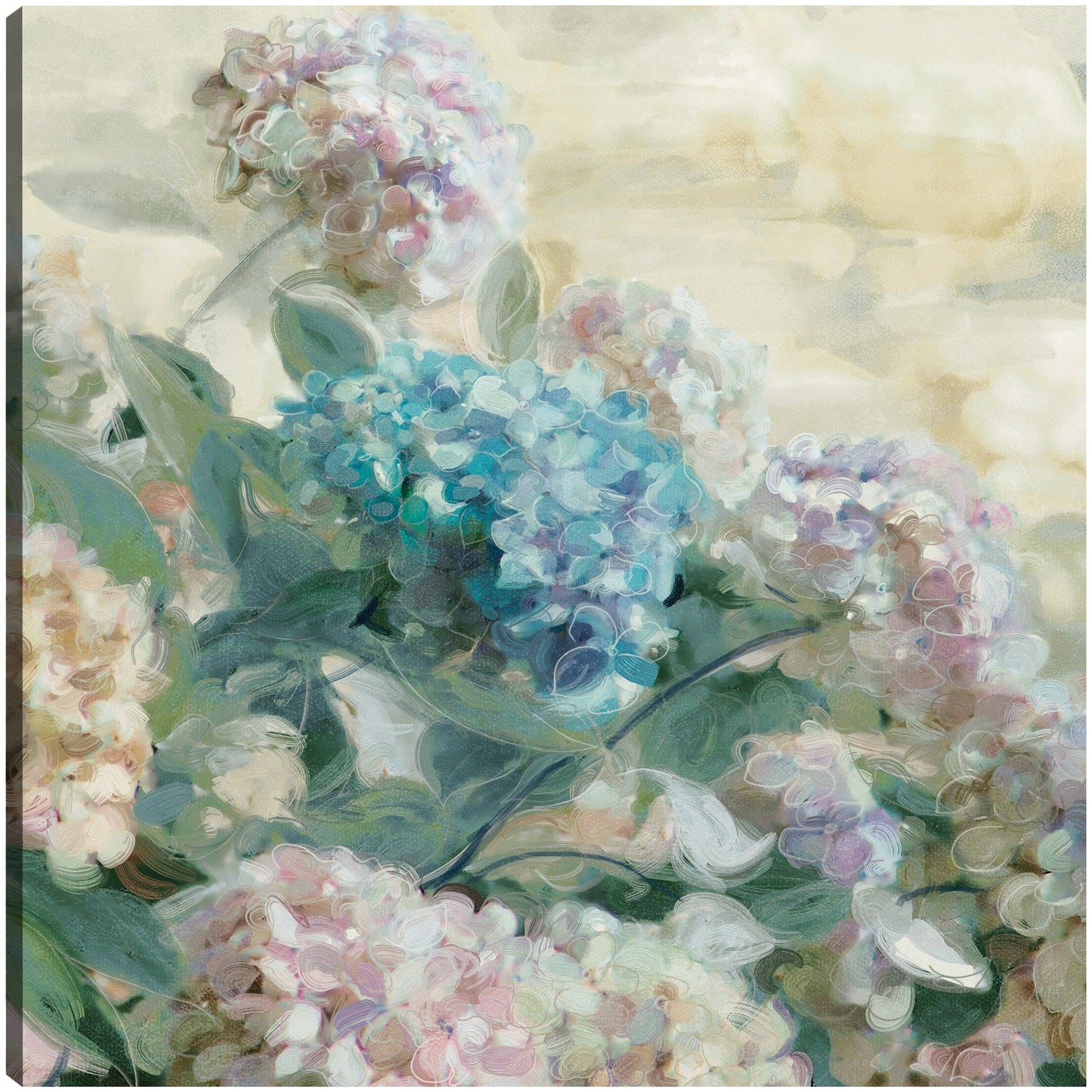 Hortensias - Studio Arts