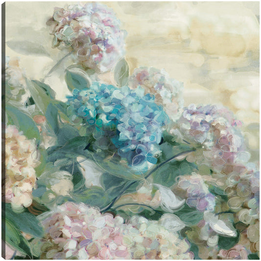 Hortensias - Studio Arts