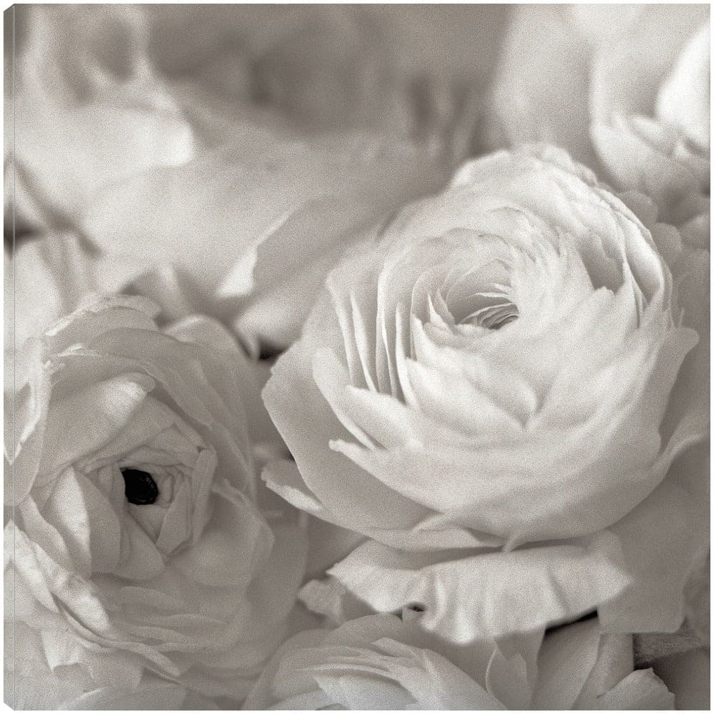 Florison #47 - Alan Blaustein