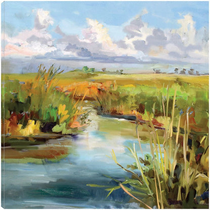 Cielo de la tarde - Carol Hallock