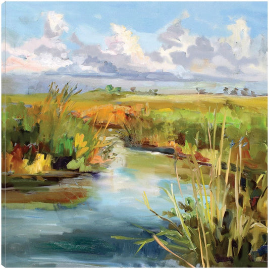 Cielo de la tarde - Carol Hallock
