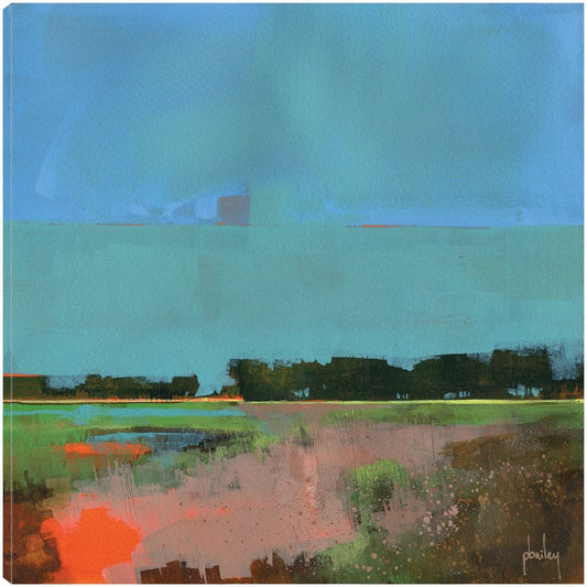 Cielo vacío - Paul Bailey