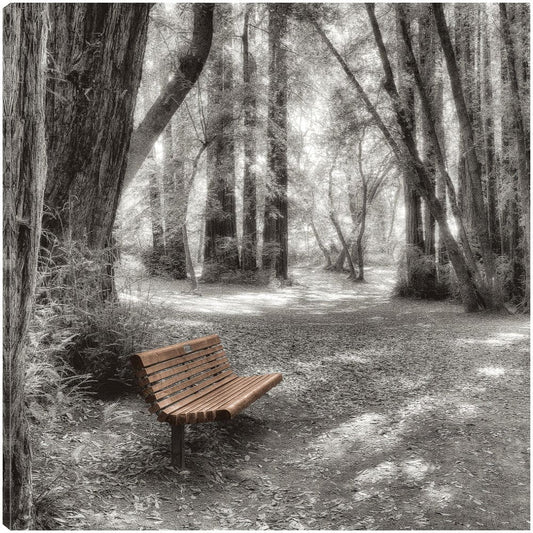 Old Mill Park - Alan Blaustein