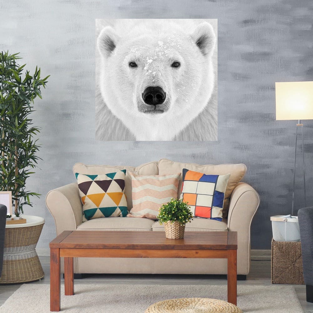 Oso polar - PhotoINC Studio