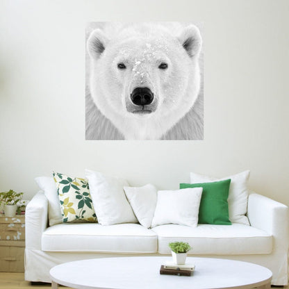 Oso polar - PhotoINC Studio
