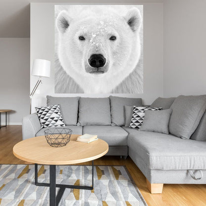 Oso polar - PhotoINC Studio