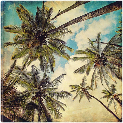 Palmas de Islas Kauai  - Melanie Alexandra Price