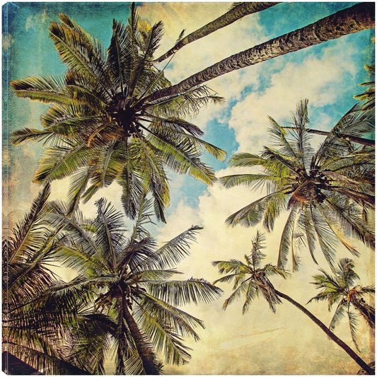 Palmas de Islas Kauai  - Melanie Alexandra Price