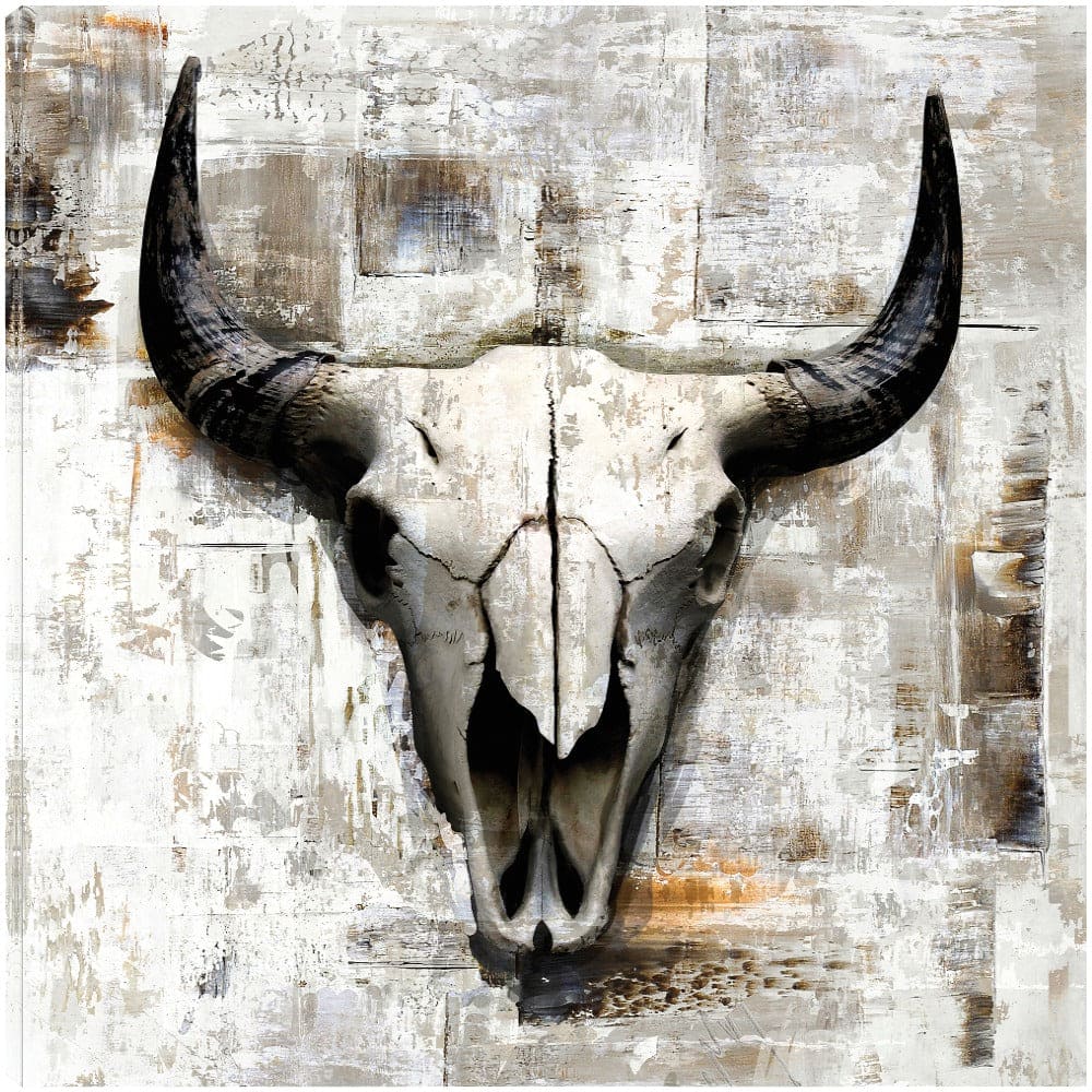 Craneo de Vaca Blanca II - Incado