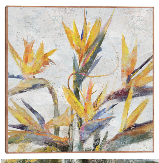 Ave del Paraíso - Studio Arts