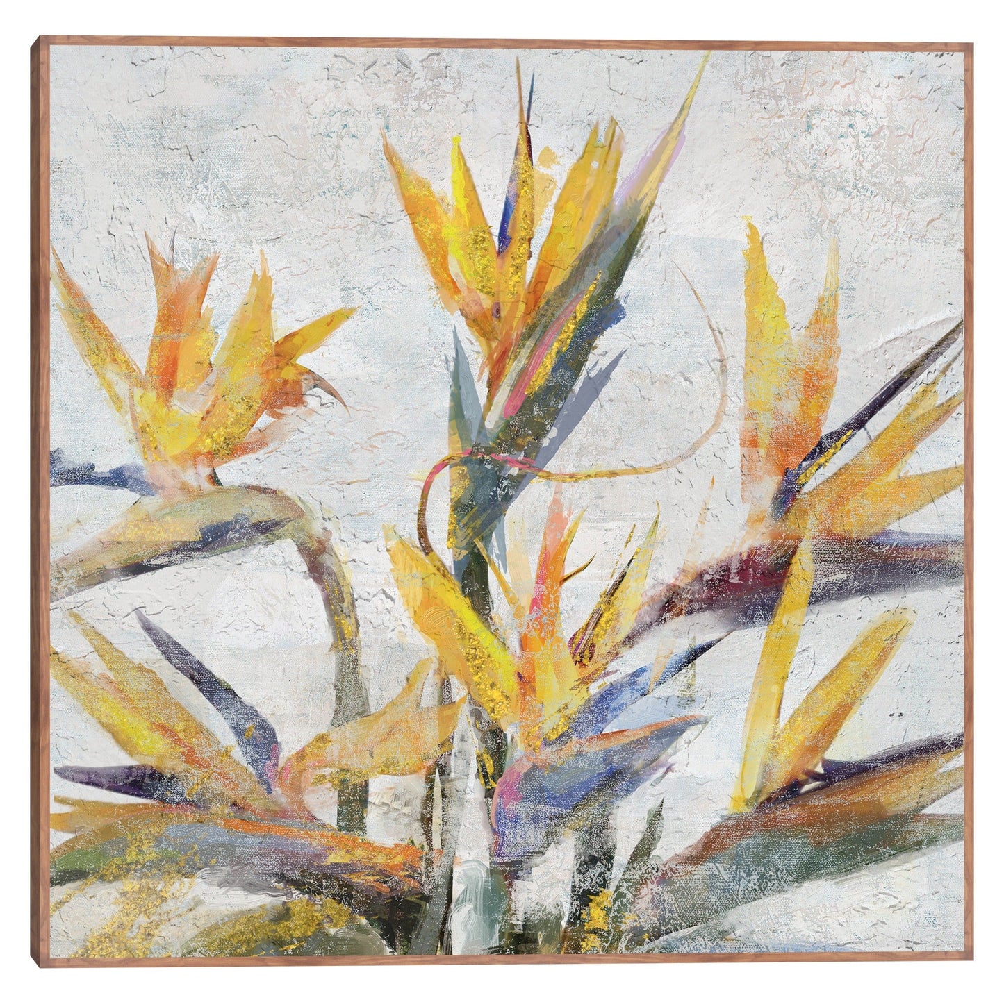 Ave del Paraiso - Studio Arts
