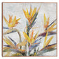 Ave del Paraiso - Studio Arts