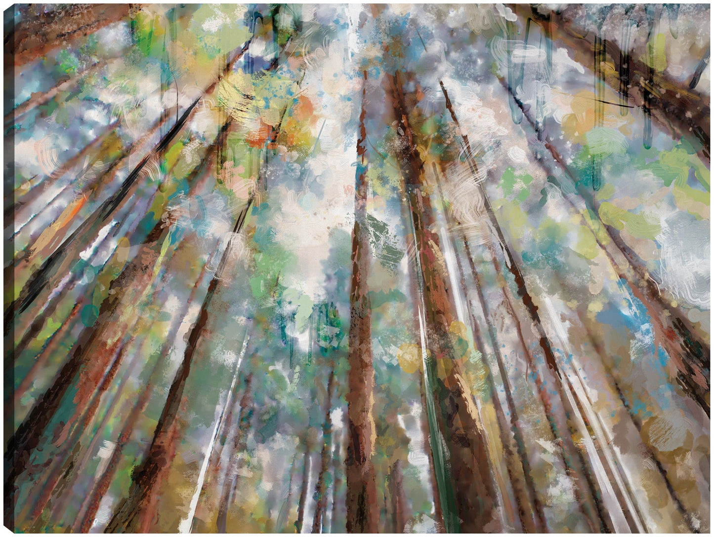 Colores del bosque - Studio Arts