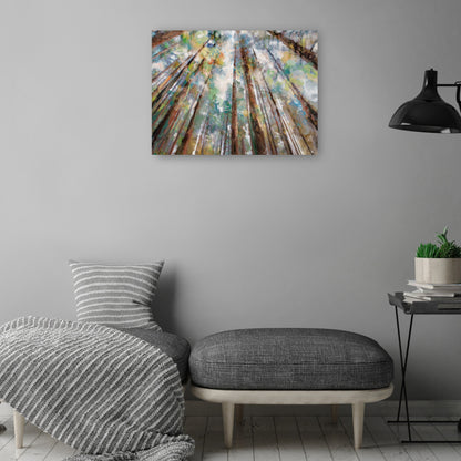 Colores del bosque - Studio Arts