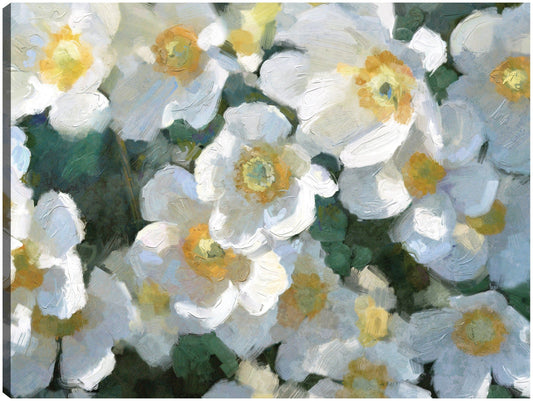 Blancos de verano - Studio Arts