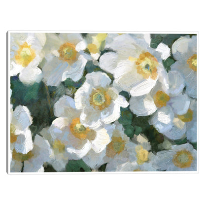 Blancos de verano - Studio Arts