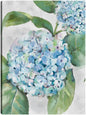 Retratos de hortensias I - Studio Arts