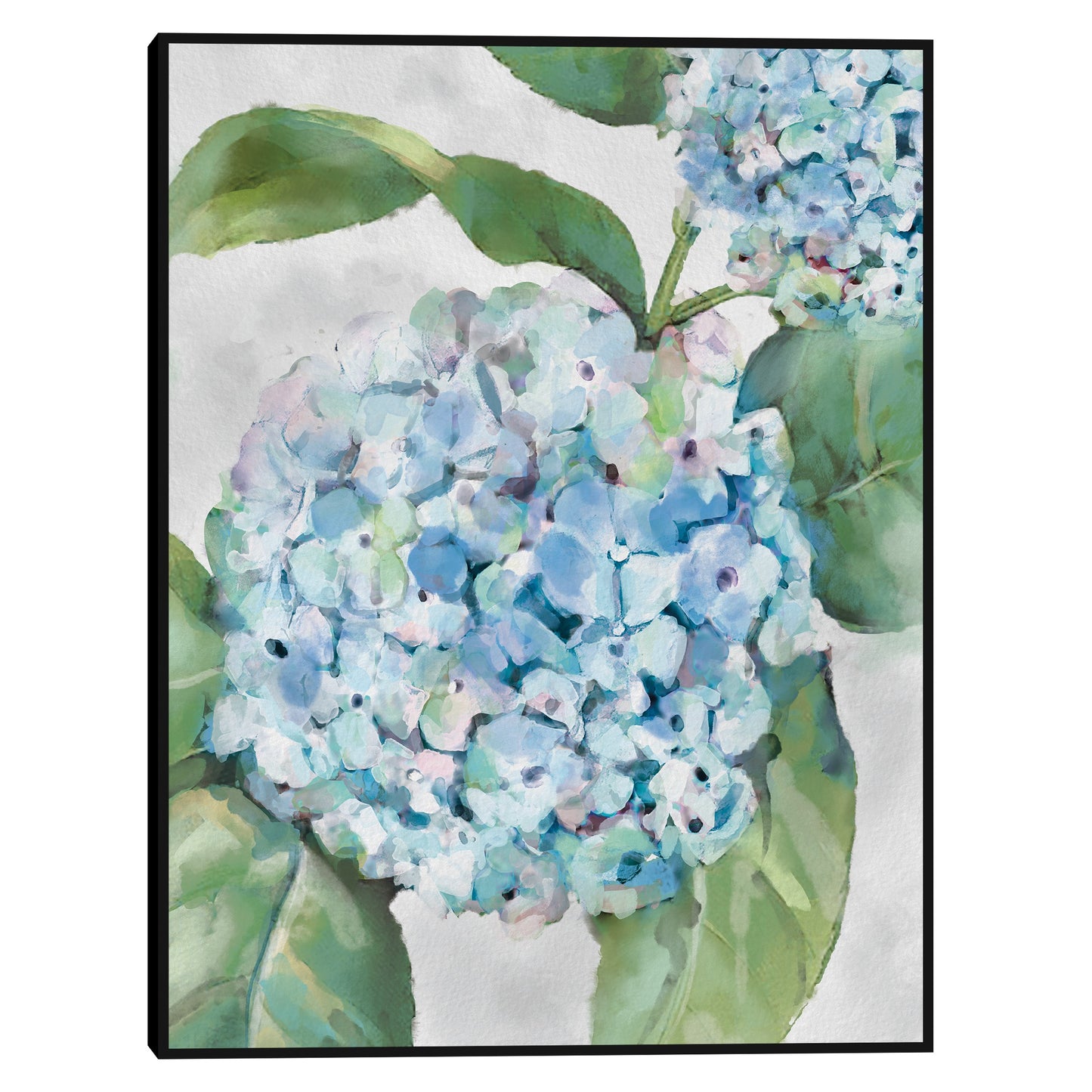 Retratos de hortensias I - Studio Arts