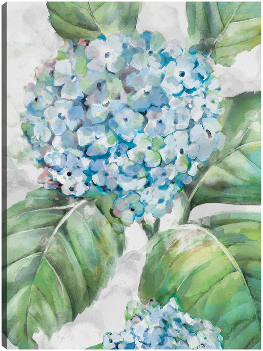 Retratos de hortensias II - Studio Arts