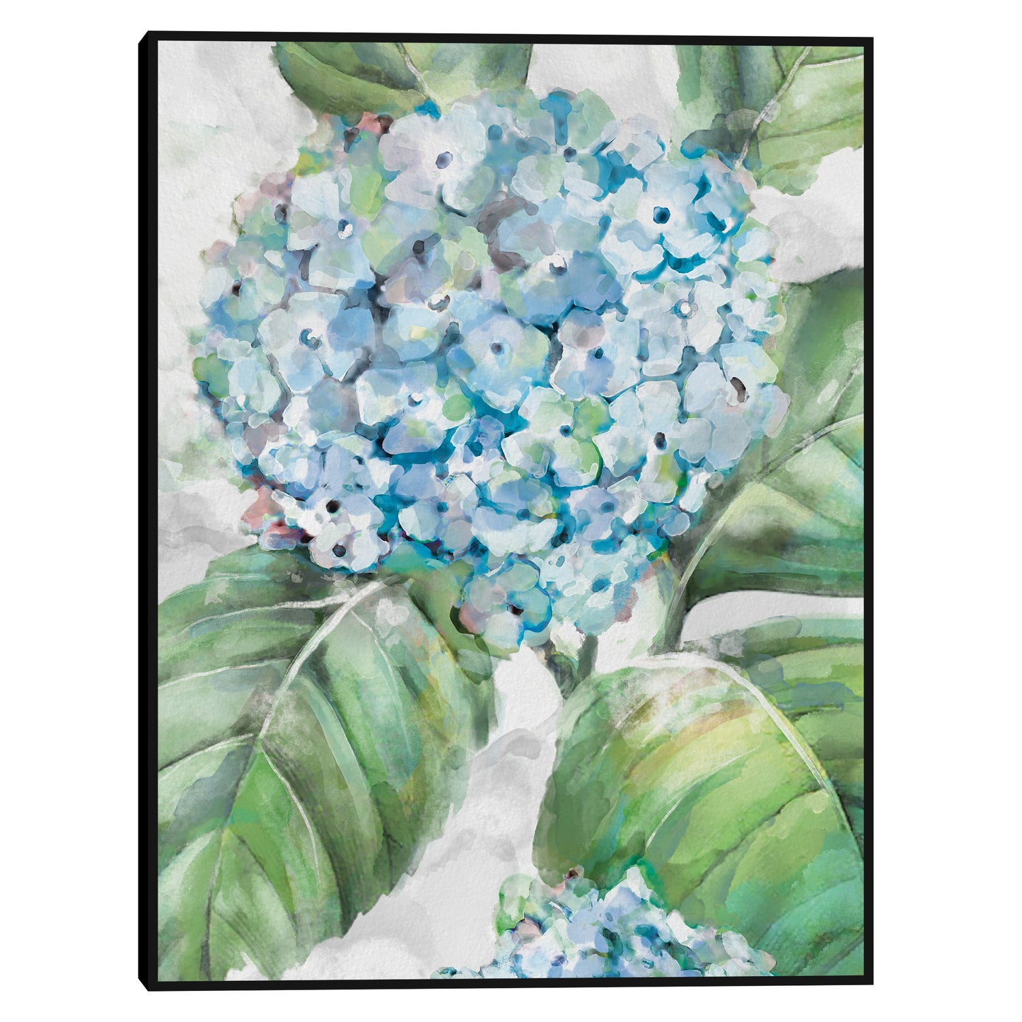 Retratos de hortensias II - Studio Arts
