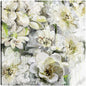 Floraciones de invernadero I - Studio Arts