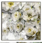 Floraciones de invernadero II - Studio Arts