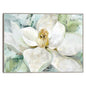 Magnolia de la mañana - Studio Arts