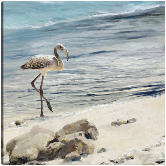 Aves playeras - Studio Arts