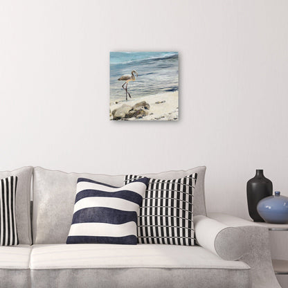 Aves playeras - Studio Arts