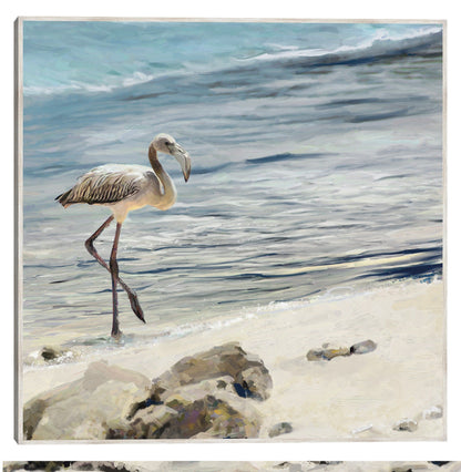 Aves playeras - Studio Arts