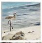 Aves playeras - Studio Arts