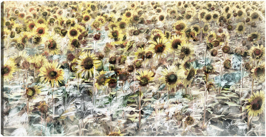 Prado de girasol - Studio Arts