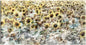 Prado de girasol - Studio Arts
