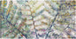 Abanico tropical - Studio Arts