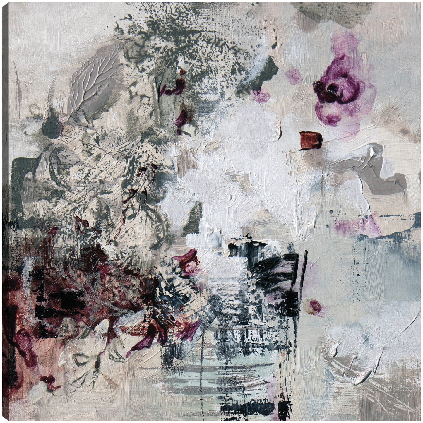 Brillo - Sabine Liva