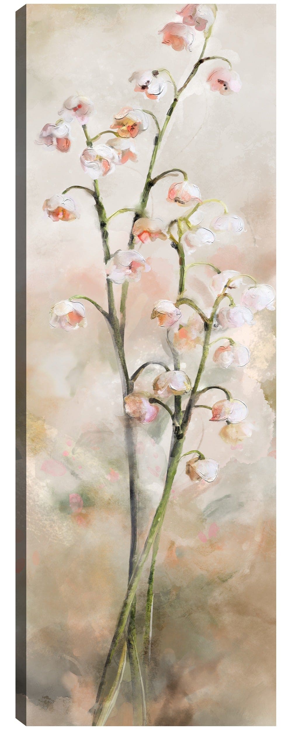 Lirio de los valles - Studio Arts