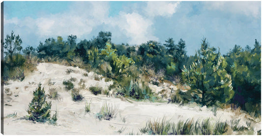 Paisaje de dunas - Studio Arts