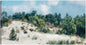 Paisaje de dunas - Studio Arts