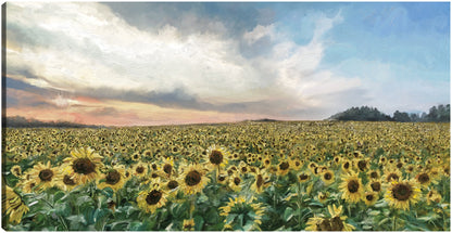 Campos de oro - Studio Arts