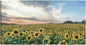 Campos de oro - Studio Arts