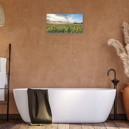 Campos de oro - Studio Arts