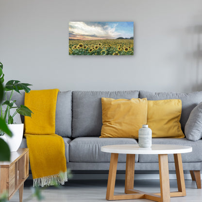 Campos de oro - Studio Arts