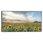 Campos de oro - Studio Arts