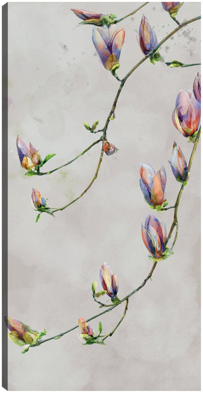 Gracia moderna - Studio Arts