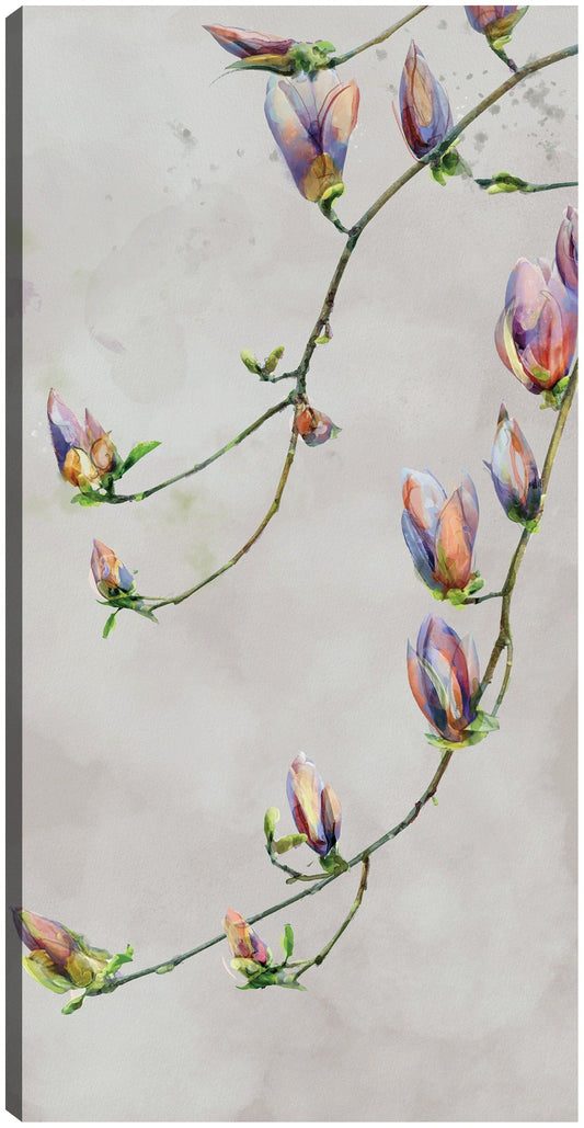 Gracia moderna - Studio Arts