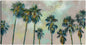 Palmas panorámicas - Studio Arts