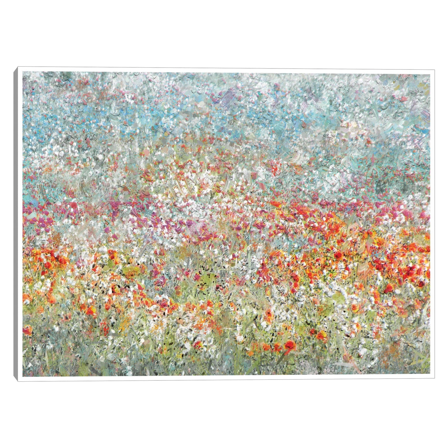 Campo de flores - Studio Arts